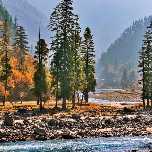 listing-details-carousel